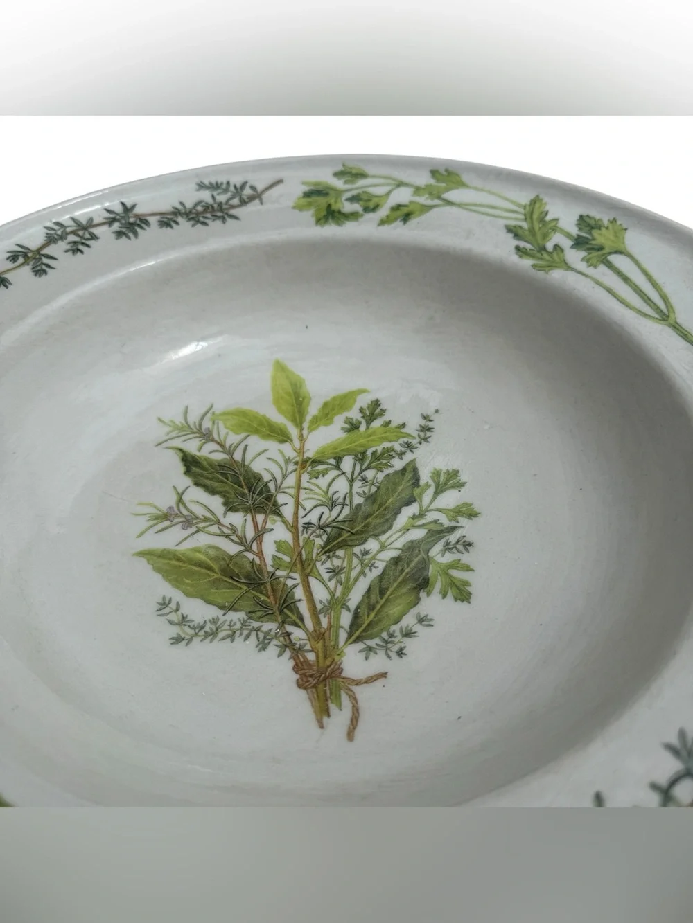 Vintage Williams Sonoma Italy Herb 15” Serving Pasta Bowl Discontinued RARE